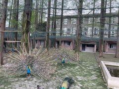 -南京金牛湖风景区