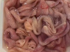 鹅肠-九尺赵老四鲜鹅肠火锅