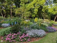 -上海共青森林公园