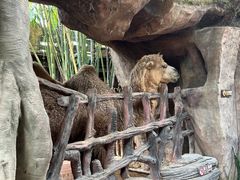 -长鹿旅游休博园