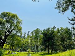 -东郊湿地公园