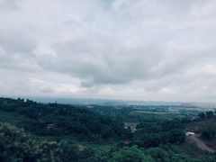 -远山有窑