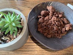 -Apollo·西班牙小酒馆(安福路店)