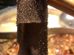 -三只耳火锅(宽窄巷子店)