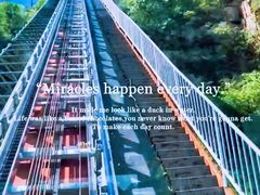 -野三坡刘家河高山漂流