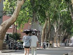-山东师范大学(千佛山校区)