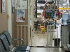 -米苏动物医院·犬猫专科·骨科外科内窥镜