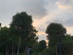 -南宁东站