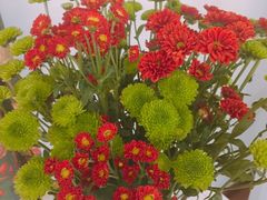 -成桂西餐厅·42年的味道(五大道疙瘩楼店)