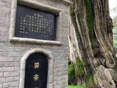 -黄帝陵