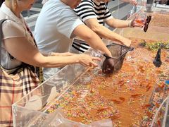 -许爷家·生态湖鲜(徐汇日月光店)