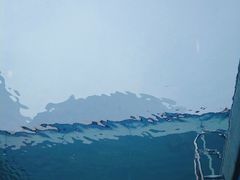景点-金泽21世纪美术馆