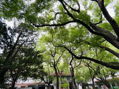 -上海宋庆龄故居纪念馆