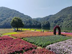 -广州市石门国家森林公园