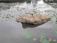 -映月湖公园