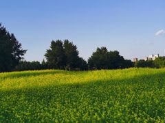 -长白岛森林公园