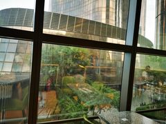 -油梨树AVOCADO TREE(望京店)