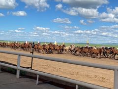 -呼伦贝尔大草原巴尔虎蒙古部落民俗旅游度假景区