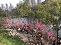 -重庆彩云湖湿地公园