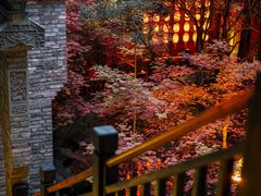 -鱼桥巷·美学川菜