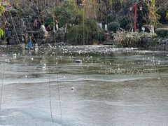 -郑和公园
