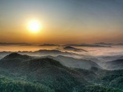 -广州白江湖森林公园