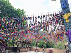 -西双版纳原始森林公园