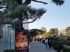 -罗红摄影艺术馆