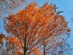 -山王坪喀斯特国家生态公园