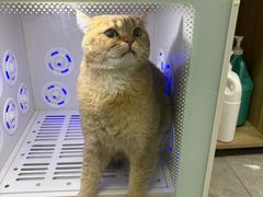 -贝康宠物医院·犬猫全科·小动物特色诊疗中心(东环路店)