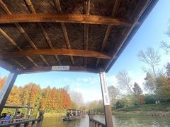 -溱湖国家湿地公园