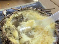 -海胆小馆(东北水饺·春柳店)