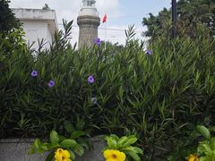 -硇洲岛旅游区