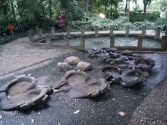 -成都市活水公园