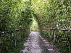 -小白鲨工夫潮膳(曲江店)