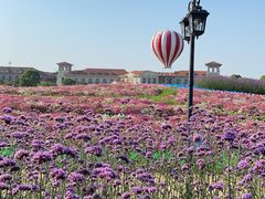 -歌斐颂巧克力小镇