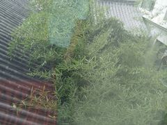 -曲江惠宾苑宾馆(大雁塔大唐不夜城店)