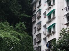 -逸廊大堂吧-下午茶·简餐-千岛湖自由洲际殿