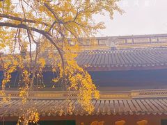 -西园戒幢律寺