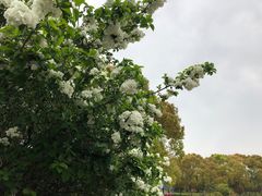 -黄兴公园