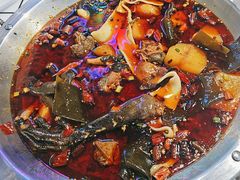 -晓彭肥肠鸡·泡椒鸡火锅(水木天地店)