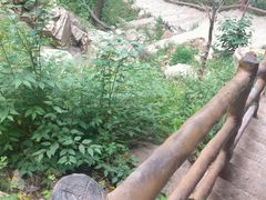 -黑龙潭风景区