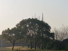 -上海月湖雕塑公园