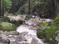 -牛背梁国家森林公园