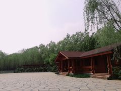 -东郊湿地公园