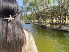 -洛阳郁金香牡丹园