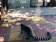 -辛玛王国游乐园