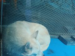 -泉城欧乐堡海洋极地世界