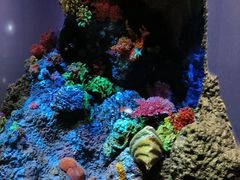 -中国湿地博物馆