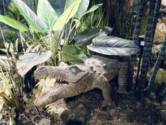 -正佳自然科学博物馆